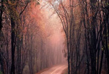 甘冈主场胜斯特拉斯堡，逐渐摆脱降级魔咒