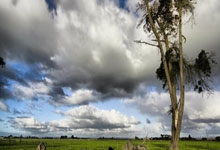 水晶宫主场不敌劲旅，遭遇连败厄运！