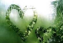 波兰明星球员阿纳托利•科洛夫当选年度最佳：一场足球盛宴的传奇