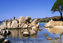 比赛之路波澜壮阔，硝烟弥漫球场